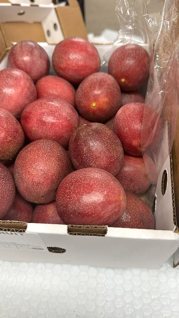 Ripe passion fruit packed in a produce box